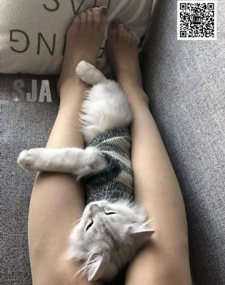 综合图区欧美_高清免费观看视频