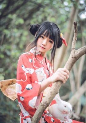 野花视频免费播放在线观看_超清完整版观看